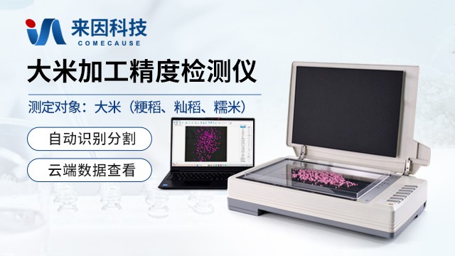大米加工精度检测的判定口径：取样代表性、样品摆放与判读一致性